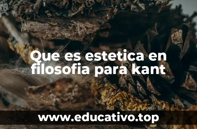 Que es estetica en filosofia para kant
