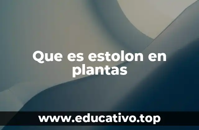 Cómo se desarrolla el estolón en la vida vegetal