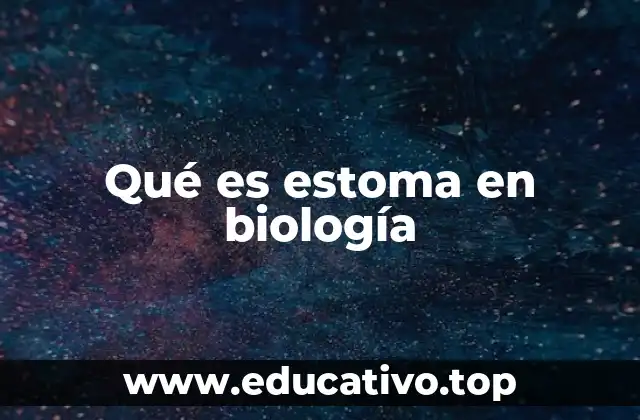 Qué es estoma en biología