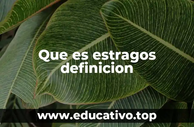 El impacto de los eventos devastadores en la sociedad