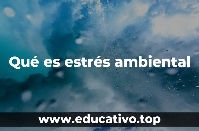 Cómo el entorno influye en el bienestar de los seres vivos