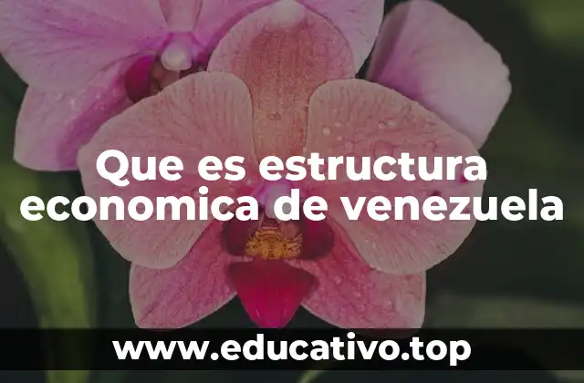 Características de la economía venezolana en el contexto global