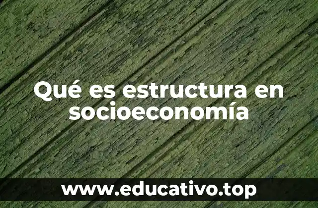 Cómo la estructura define el funcionamiento de una sociedad