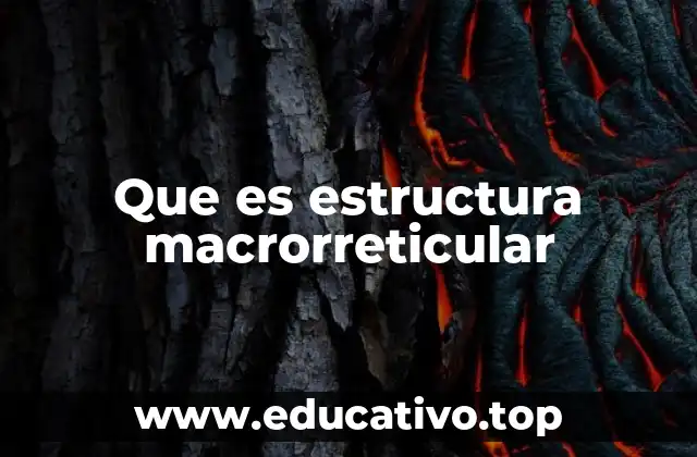 Características de las estructuras macrorreticulares