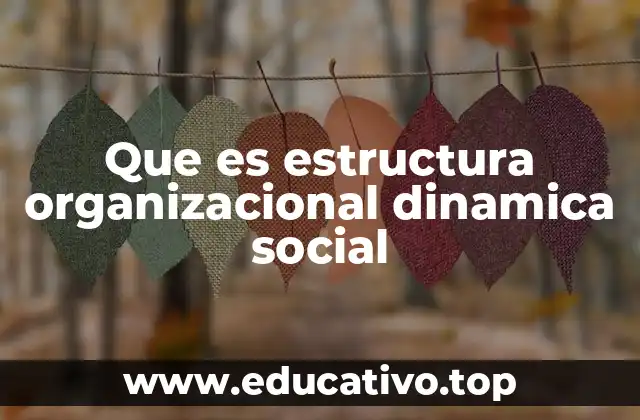 Cómo las estructuras dinámicas socializan la toma de decisiones