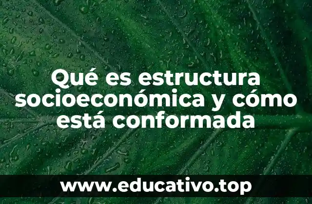 Qué es estructura socioeconómica y cómo está conformada