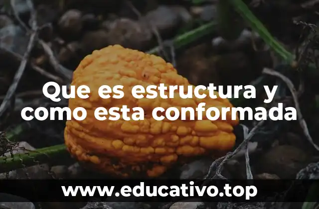 Que es estructura y como esta conformada