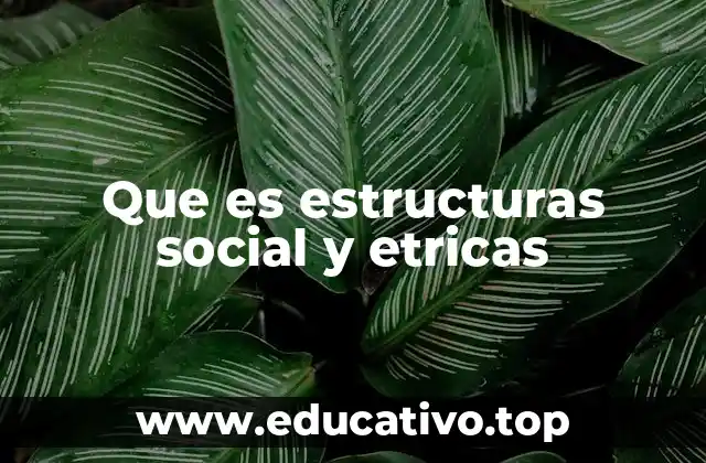 Que es estructuras social y etricas