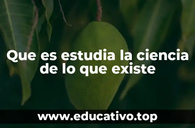 La base filosófica de la ontología