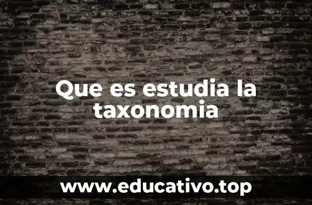 La importancia de la clasificación biológica en la ciencia