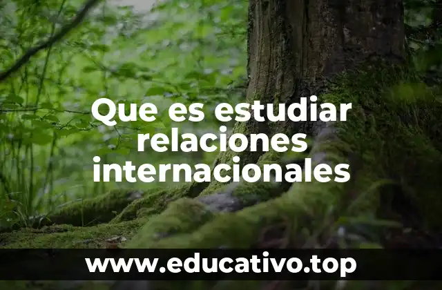 La interacción entre Estados en el contexto global