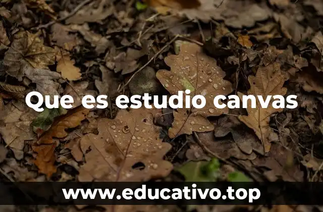 Que es estudio canvas