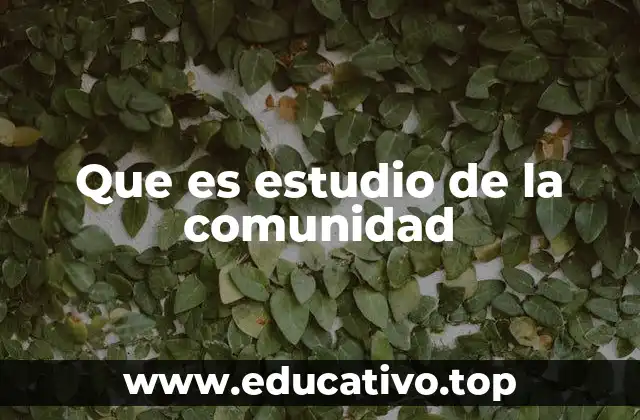 Que es estudio de la comunidad