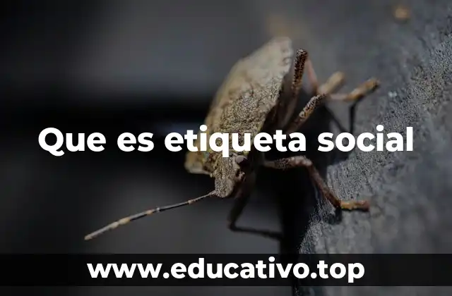 Que es etiqueta social