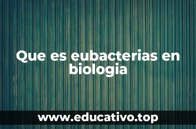 Que es eubacterias en biologia