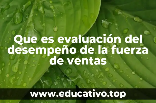 Importancia de la medición en el rendimiento comercial