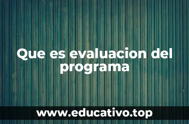 Que es evaluacion del programa