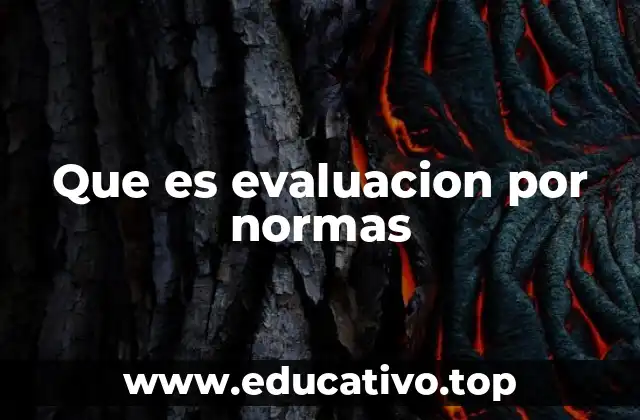Que es evaluacion por normas
