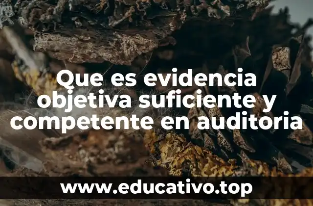 Que es evidencia objetiva suficiente y competente en auditoria