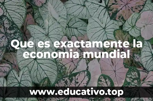 Que es exactamente la economia mundial