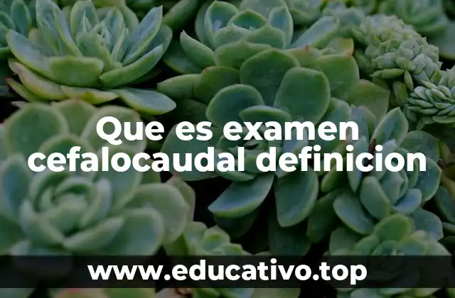 Que es examen cefalocaudal definicion