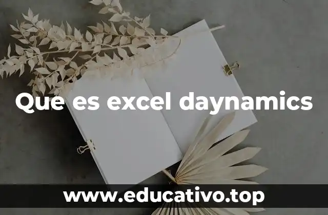 Que es excel daynamics