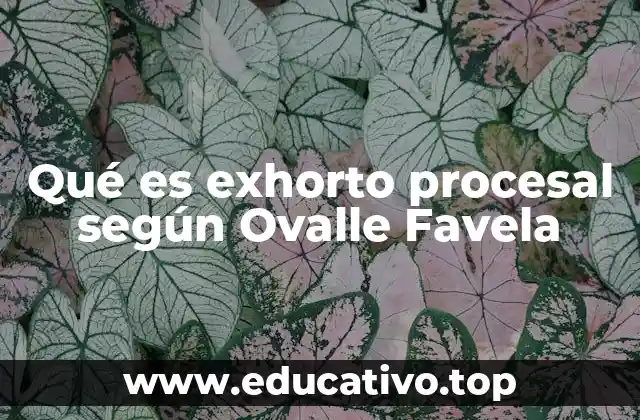 Qué es exhorto procesal según Ovalle Favela