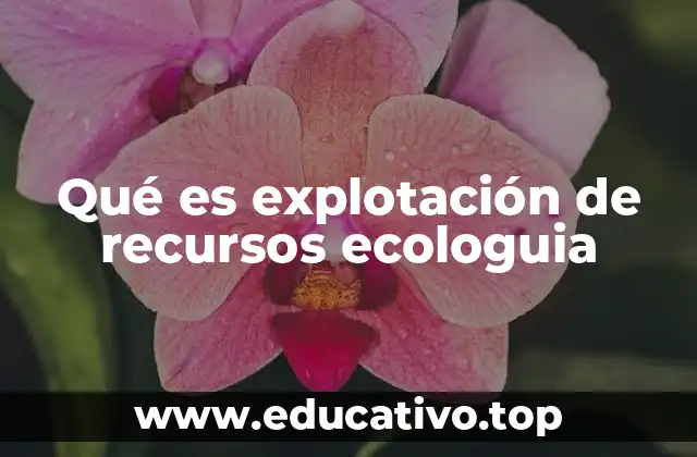 El impacto de la explotación en los ecosistemas