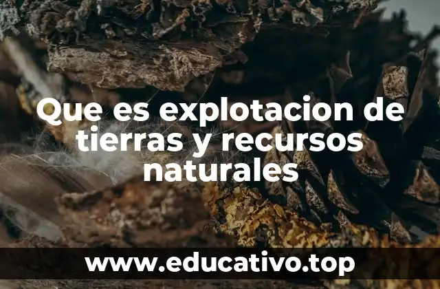 El impacto de la actividad humana en el entorno natural