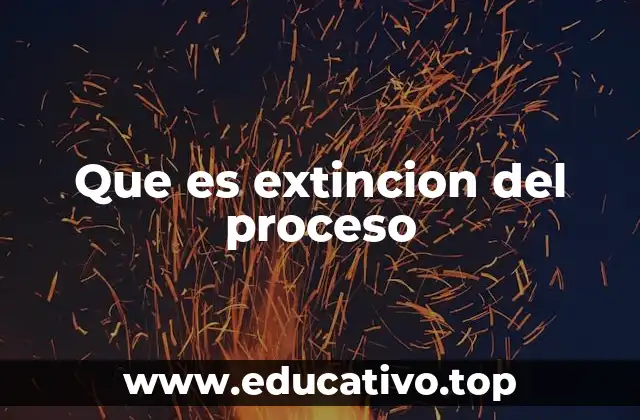 Que es extincion del proceso