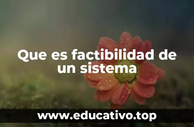 Que es factibilidad de un sistema