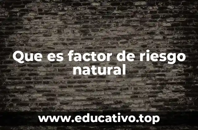 Que es factor de riesgo natural