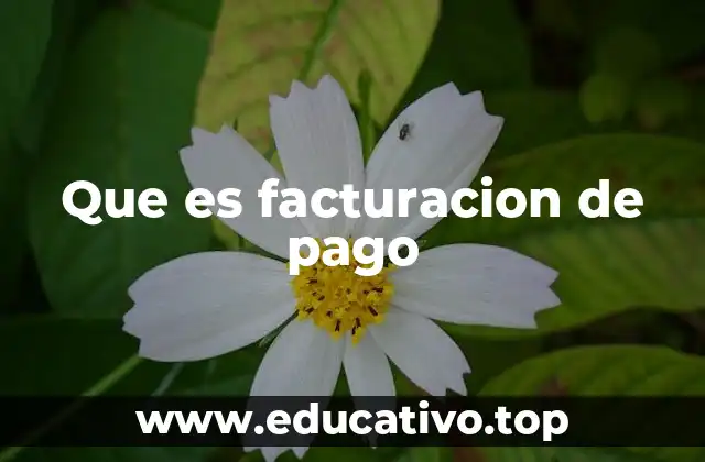 Que es facturacion de pago