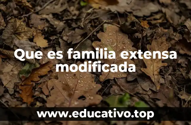 Que es familia extensa modificada