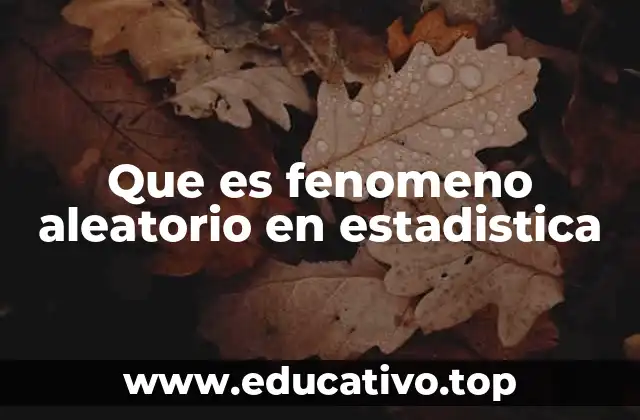 La importancia de los fenómenos aleatorios en el análisis de datos