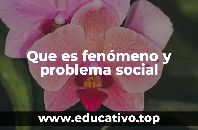 Fenómenos y problemas sociales en el contexto contemporáneo