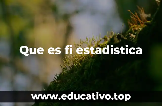 Que es fi estadistica