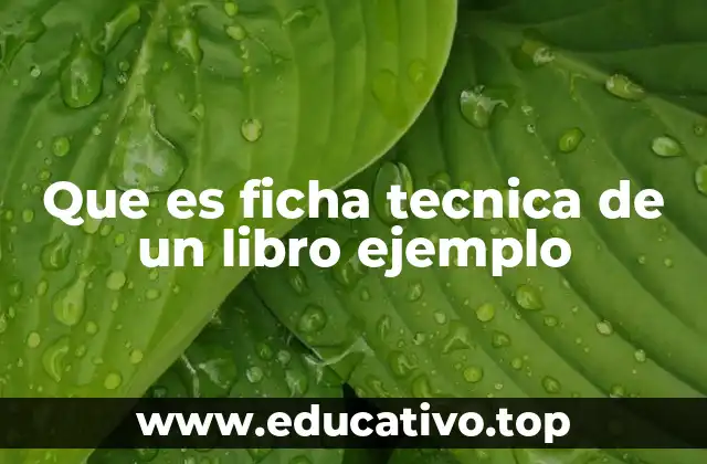 Que es ficha tecnica de un libro ejemplo