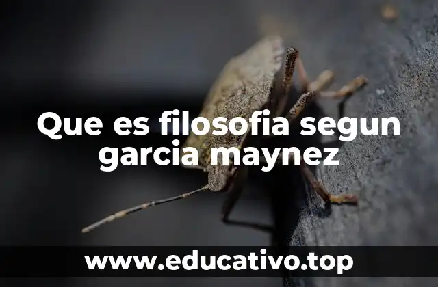 Que es filosofia segun garcia maynez