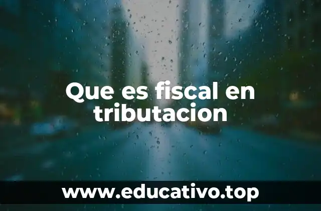 El rol del Estado como ente fiscal en el sistema tributario