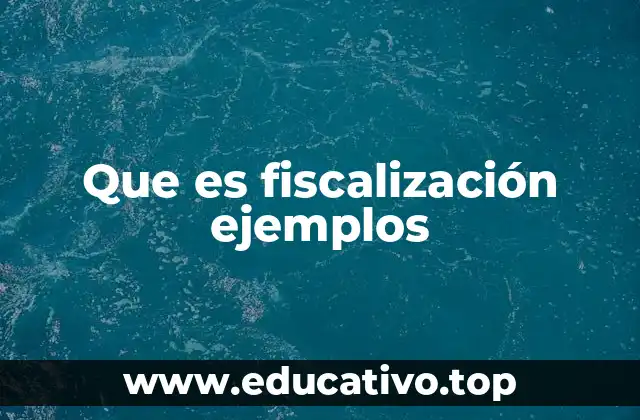 Que es fiscalización ejemplos