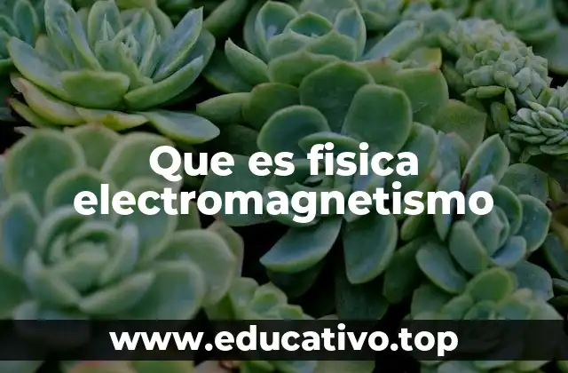 Que es fisica electromagnetismo