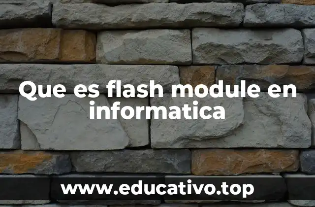 Que es flash module en informatica