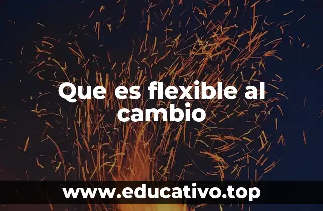 Que es flexible al cambio