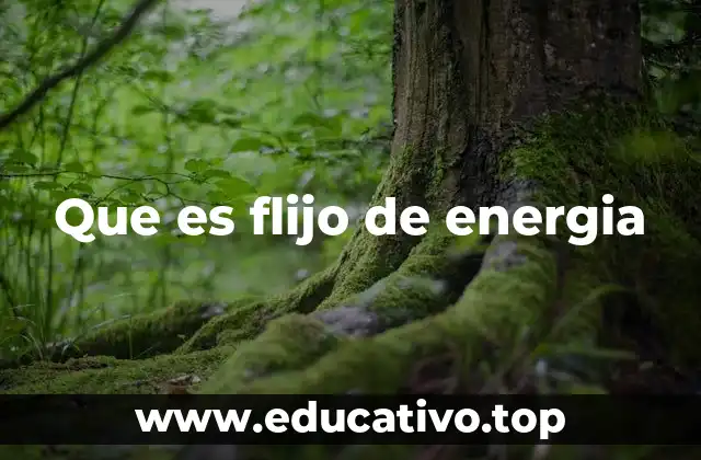 Que es flijo de energia