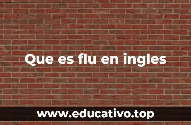 Que es flu en ingles