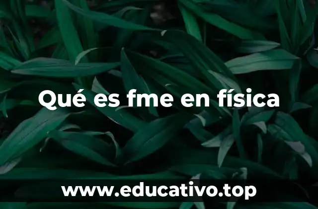 Qué es fme en física