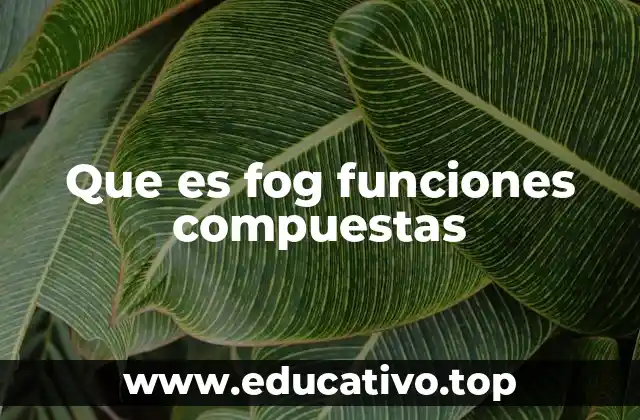 Que es fog funciones compuestas