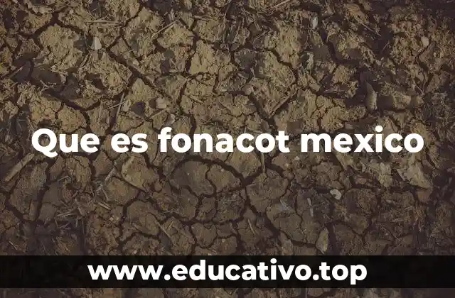 Que es fonacot mexico