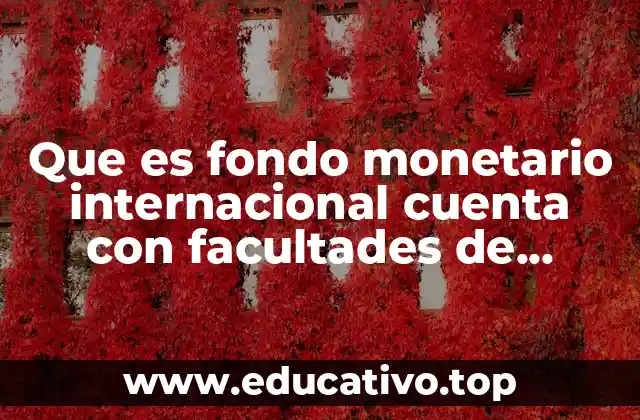 Que es fondo monetario internacional cuenta con facultades de liberacion